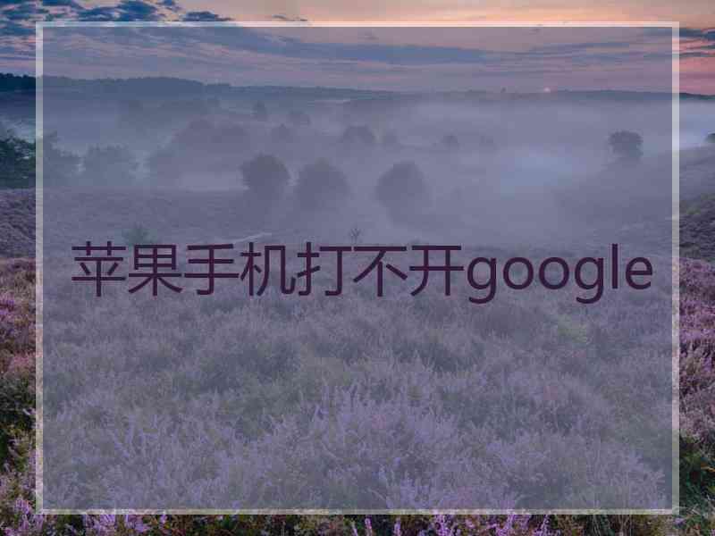 苹果手机打不开google
