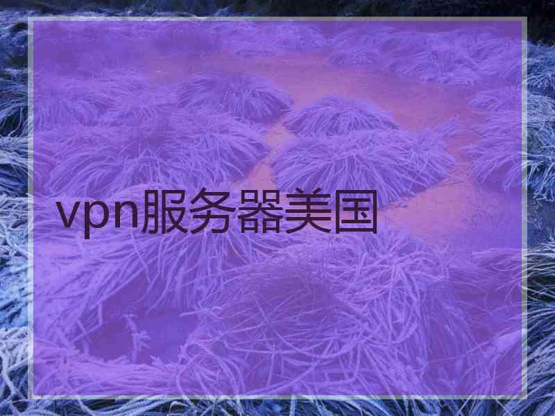 vpn服务器美国