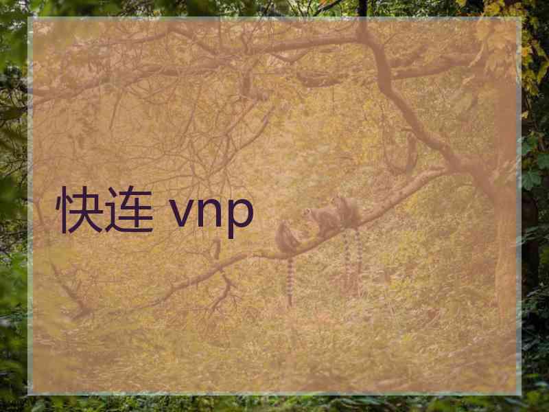 快连 vnp
