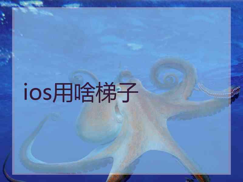 ios用啥梯子
