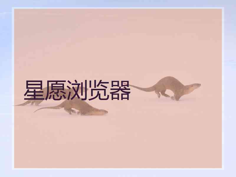 星愿浏览器