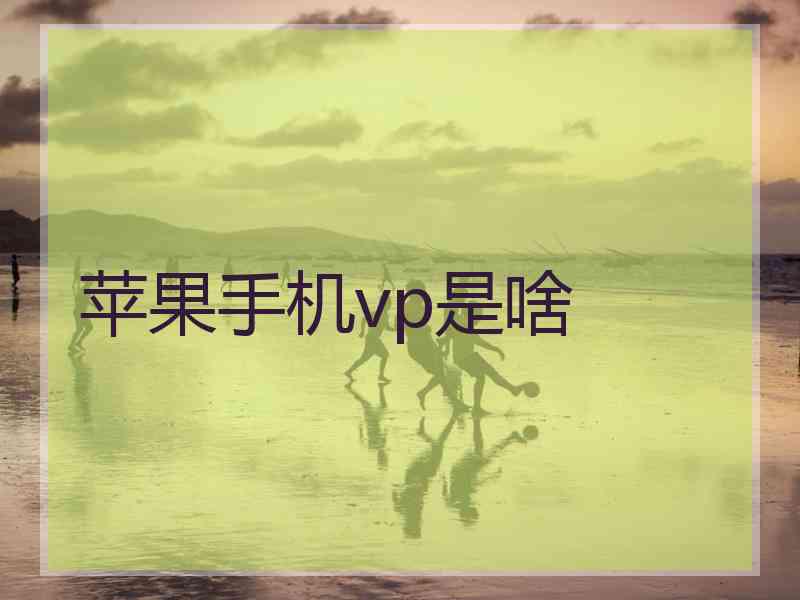 苹果手机vp是啥