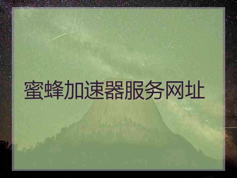 蜜蜂加速器服务网址