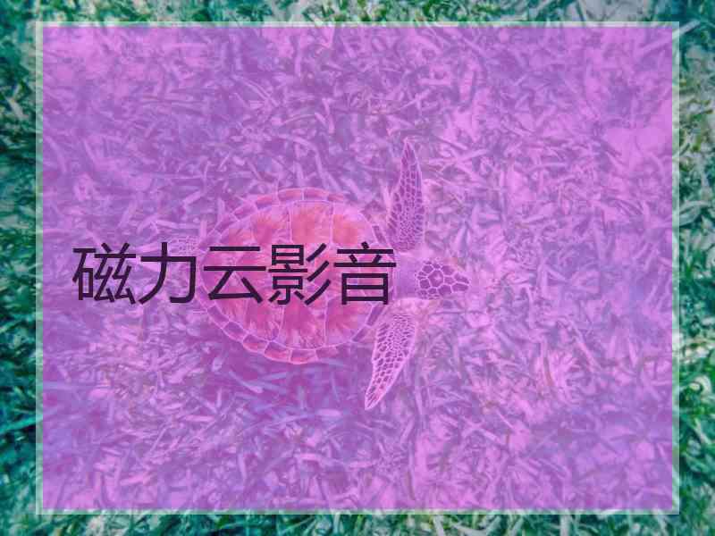 磁力云影音