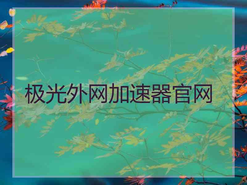 极光外网加速器官网