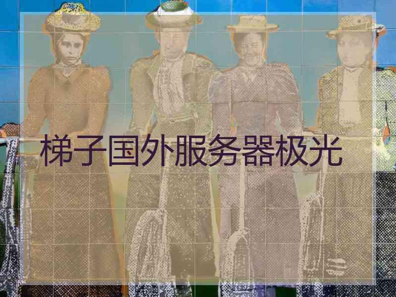 梯子国外服务器极光