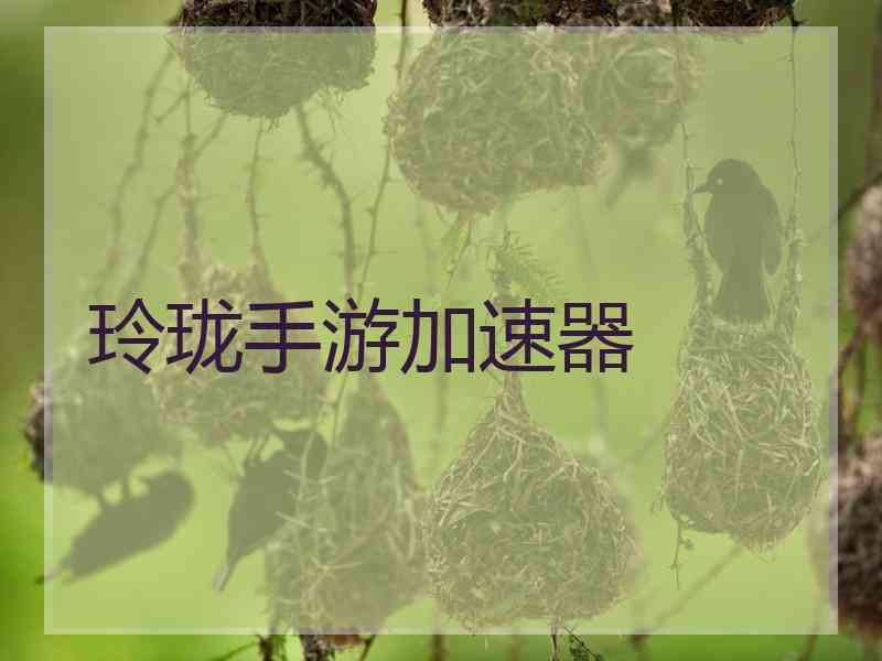 玲珑手游加速器