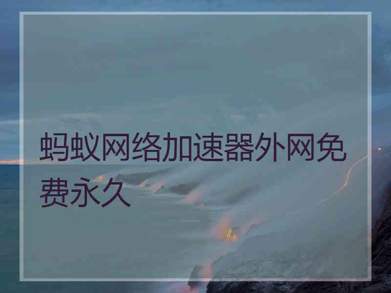 蚂蚁网络加速器外网免费永久
