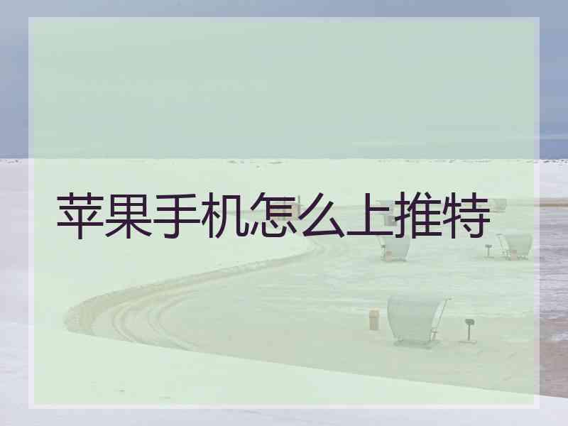 苹果手机怎么上推特