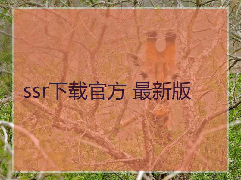 ssr下载官方 最新版