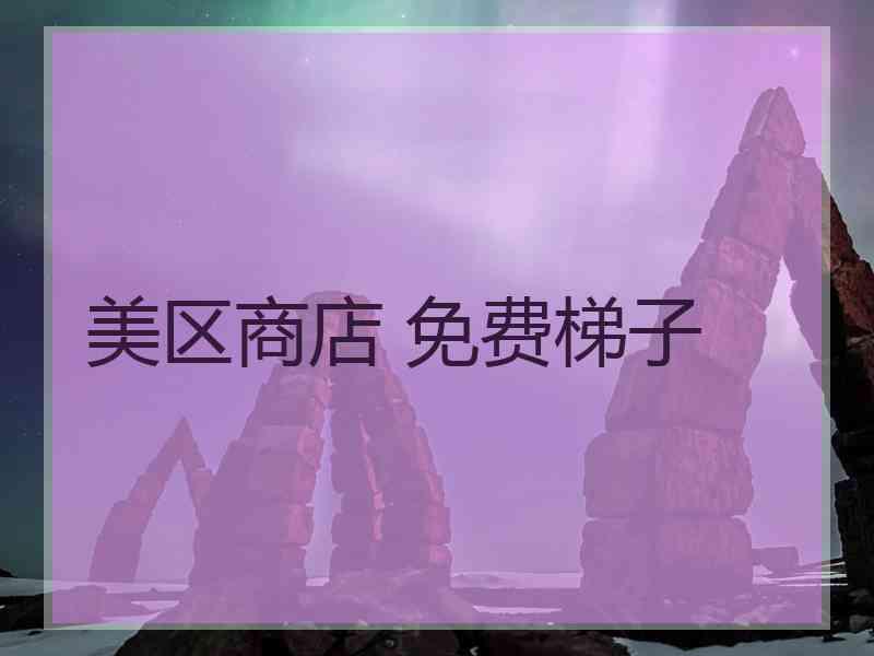 美区商店 免费梯子