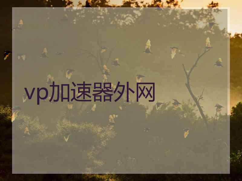 vp加速器外网