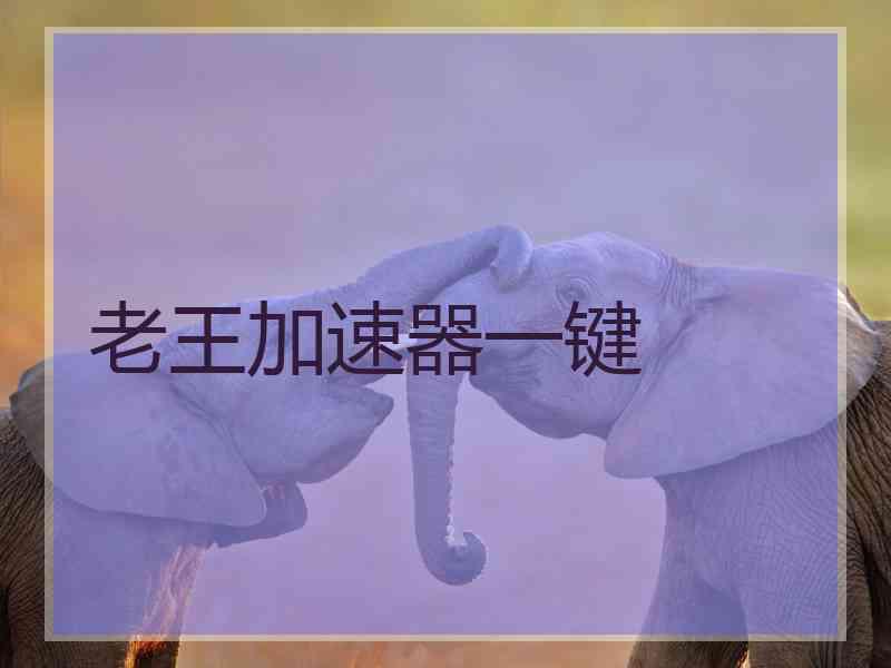 老王加速器一键
