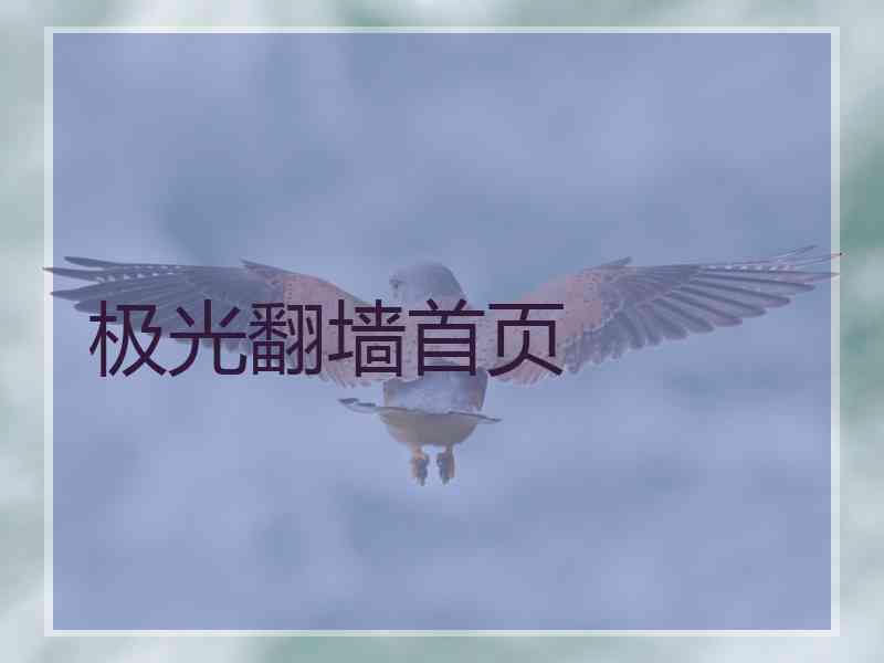 极光翻墙首页