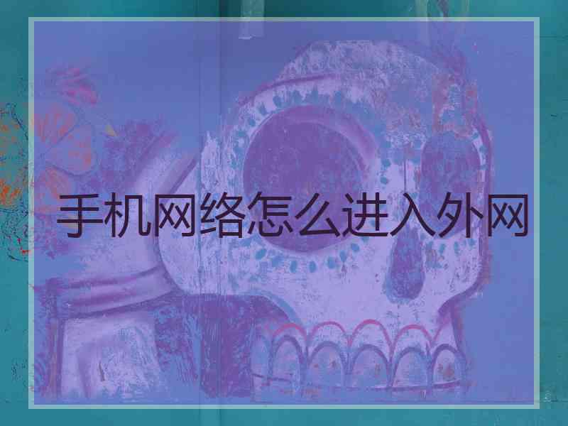 手机网络怎么进入外网