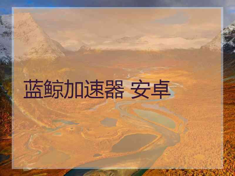 蓝鲸加速器 安卓