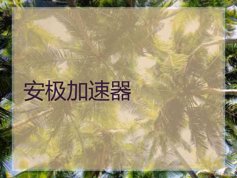 安极加速器