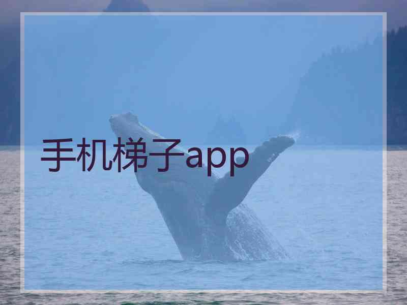 手机梯子app