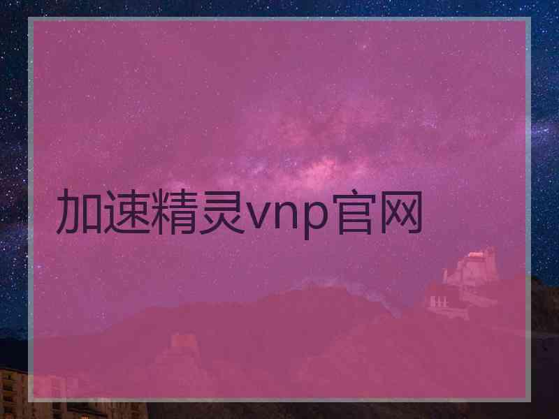 加速精灵vnp官网