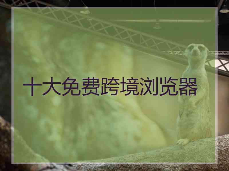 十大免费跨境浏览器