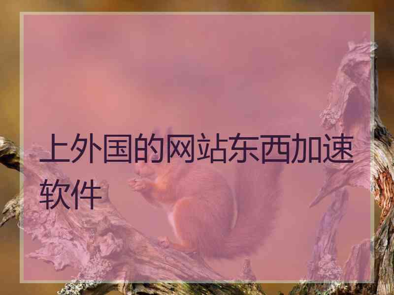 上外国的网站东西加速软件