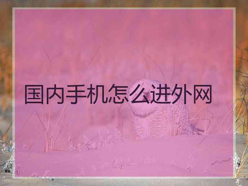 国内手机怎么进外网