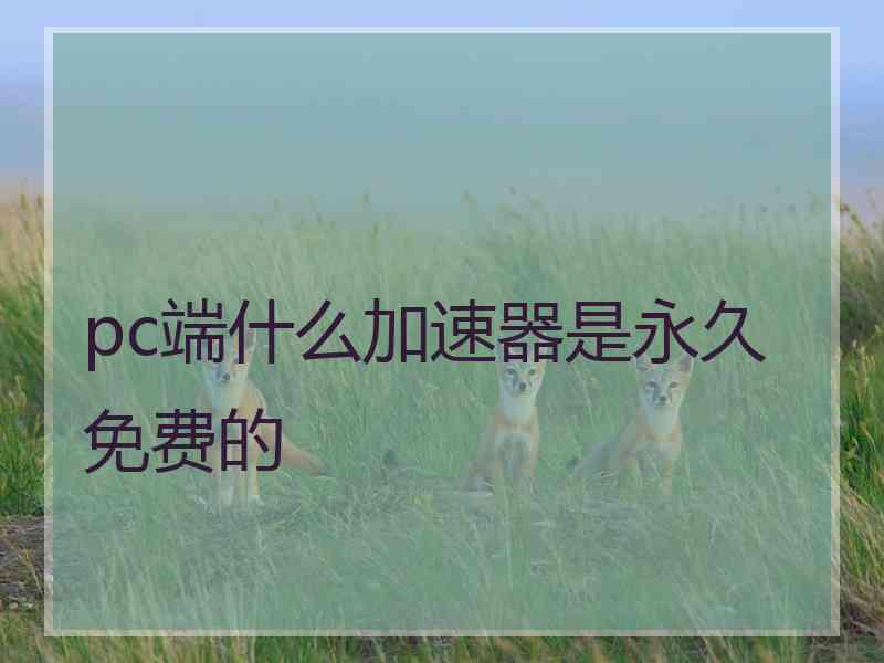 pc端什么加速器是永久免费的