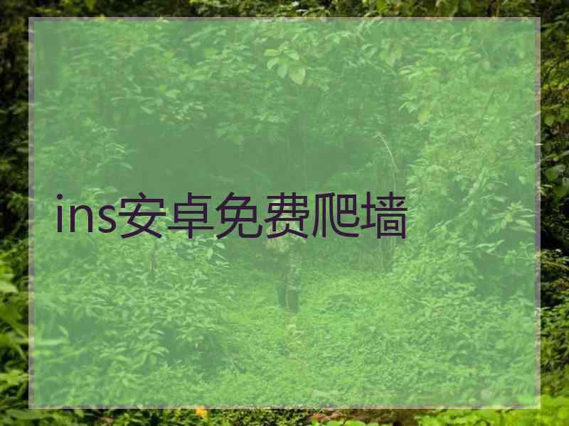 ins安卓免费爬墙
