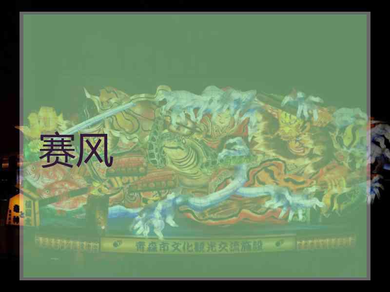 赛风