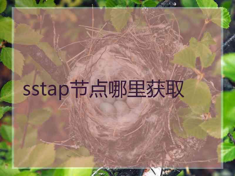 sstap节点哪里获取