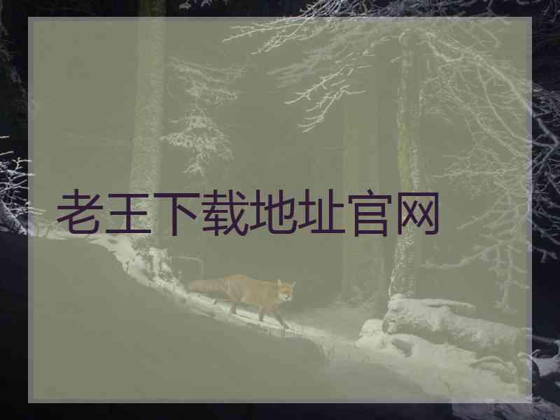 老王下载地址官网