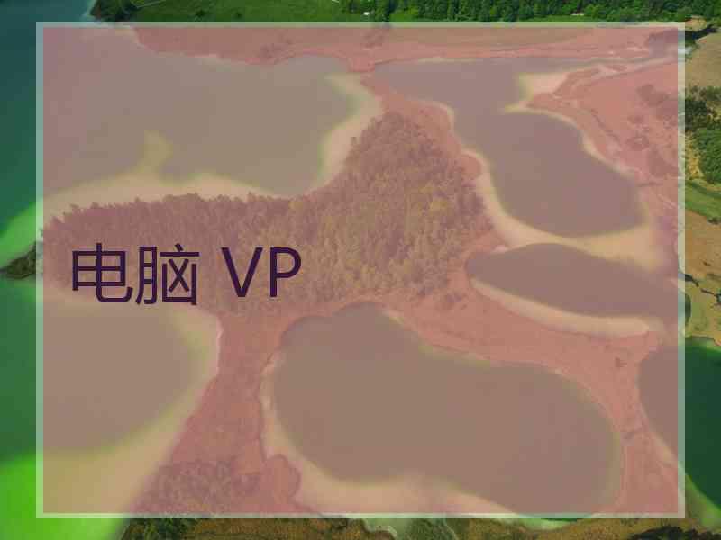 电脑 VP