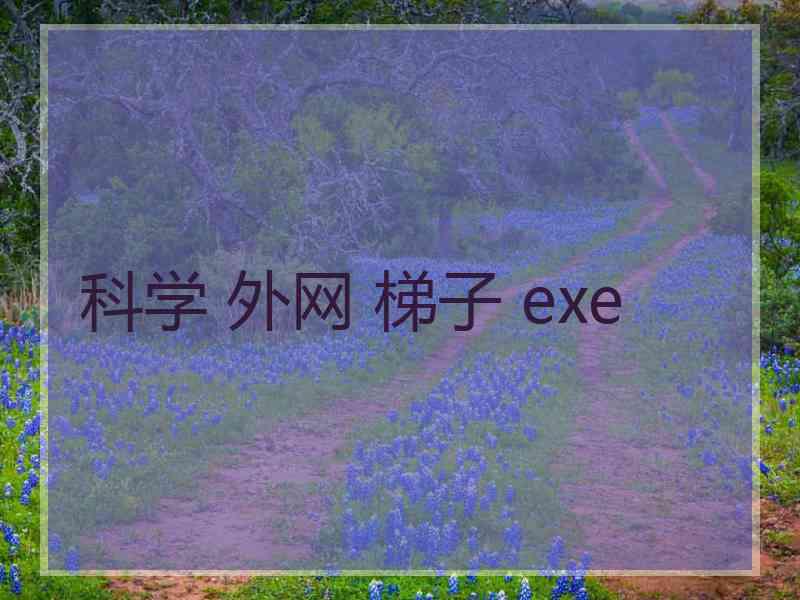 科学 外网 梯子 exe