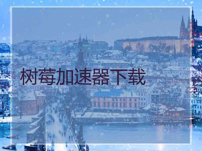 树莓加速器下载