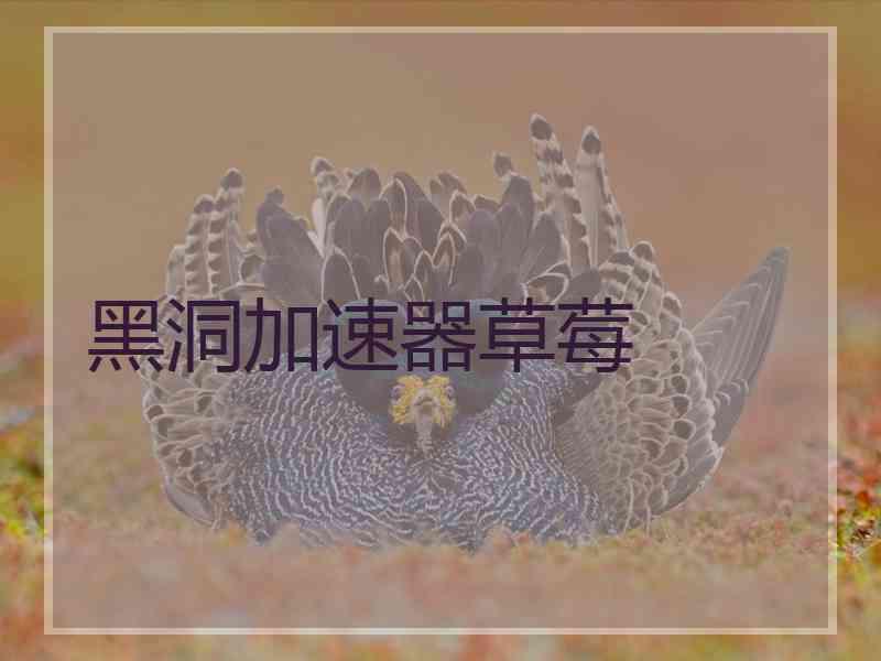 黑洞加速器草莓
