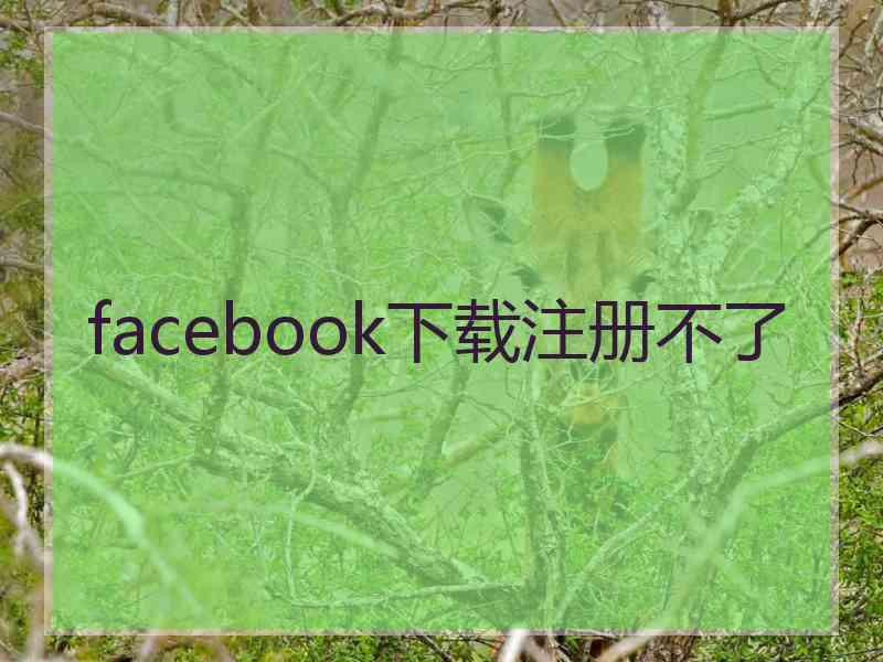 facebook下载注册不了