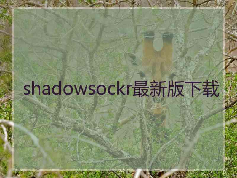 shadowsockr最新版下载