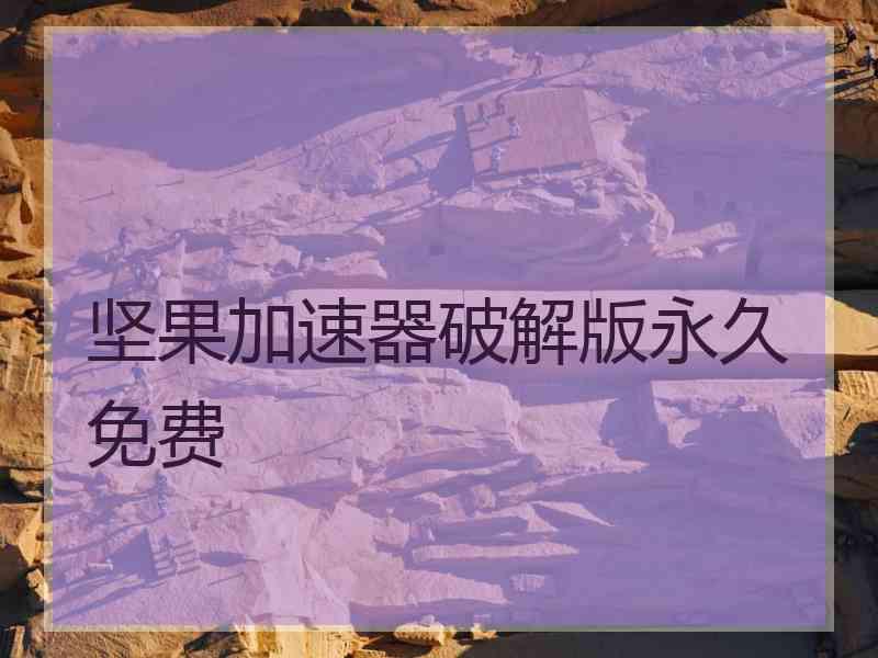 坚果加速器破解版永久免费