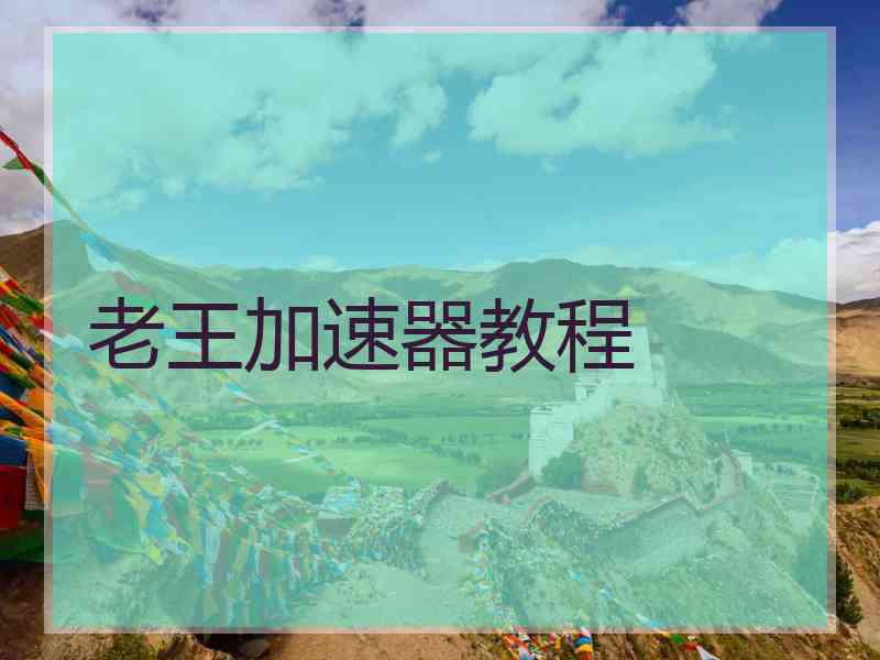 老王加速器教程