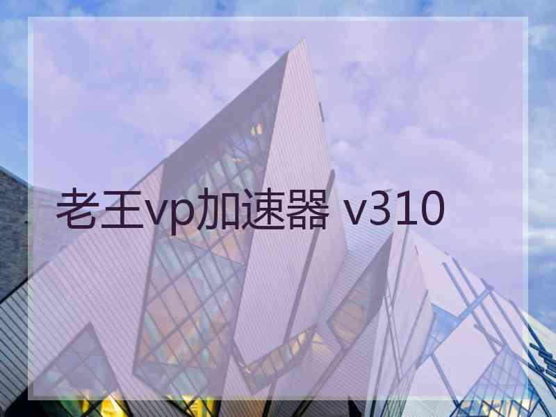老王vp加速器 v310