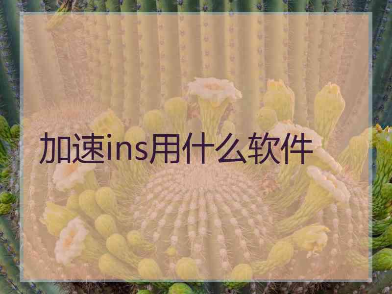 加速ins用什么软件