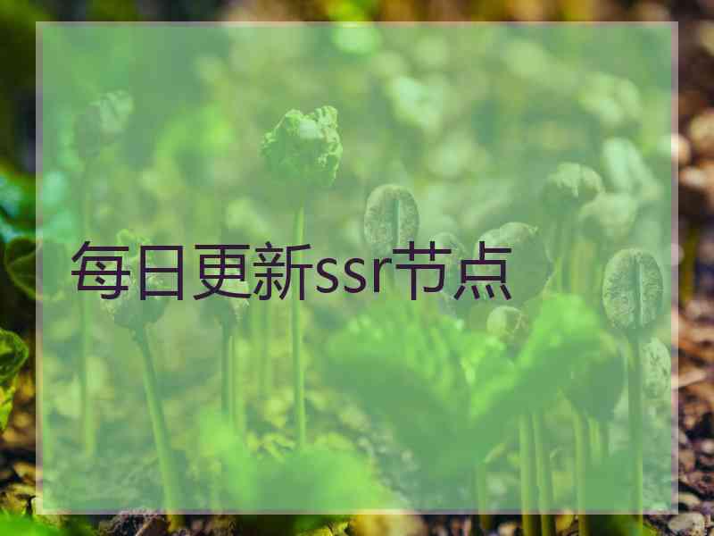 每日更新ssr节点