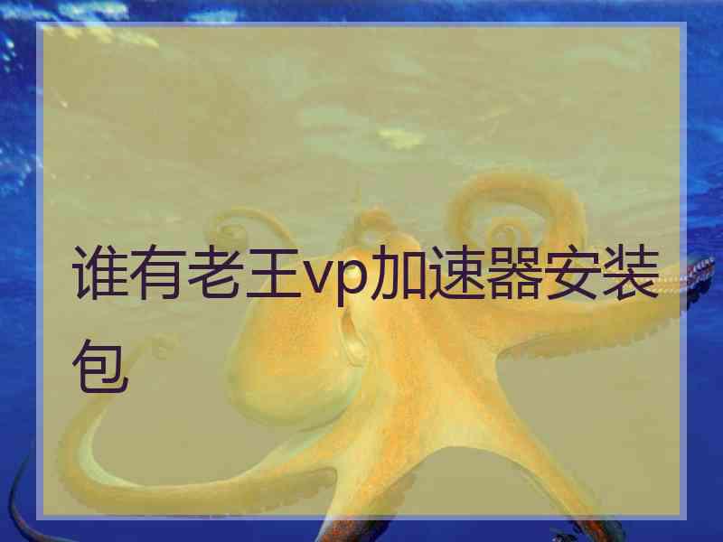 谁有老王vp加速器安装包