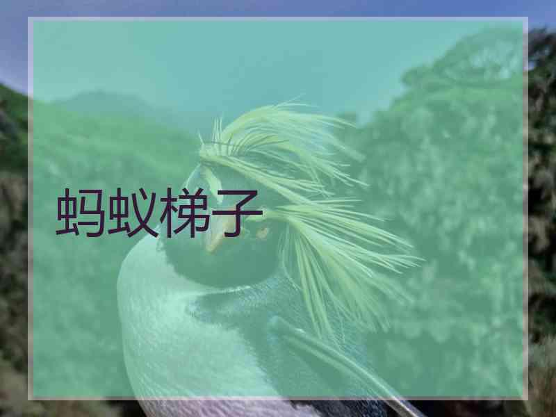 蚂蚁梯子
