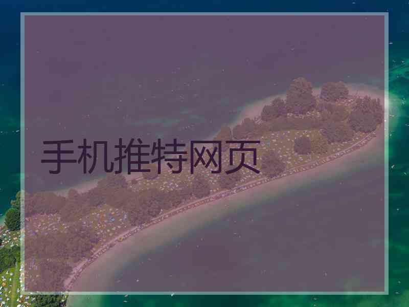 手机推特网页