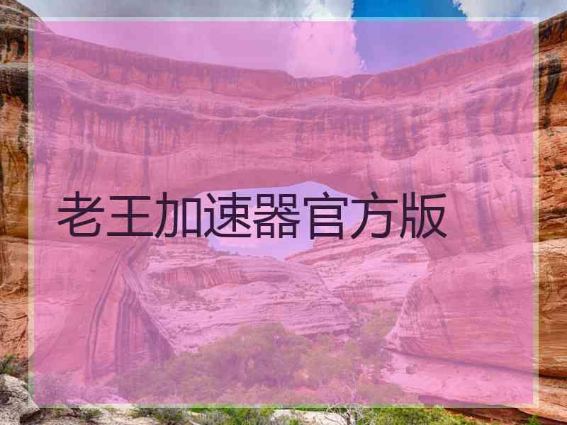 老王加速器官方版