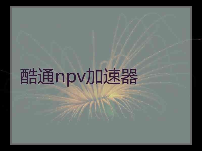 酷通npv加速器