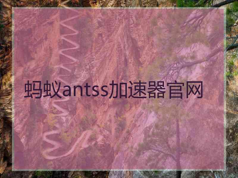 蚂蚁antss加速器官网