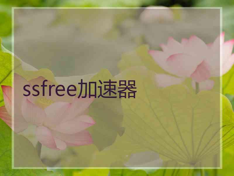 ssfree加速器