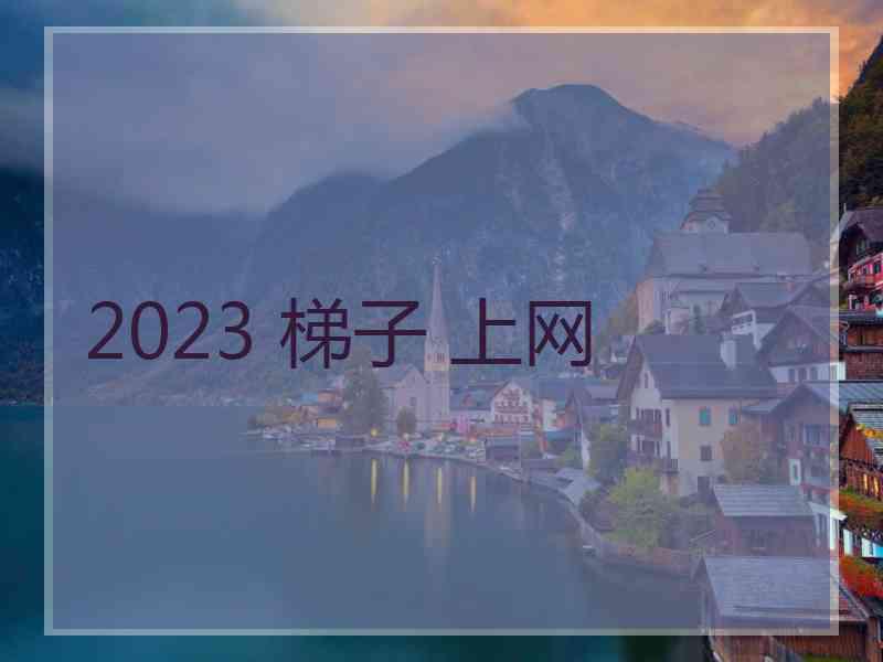 2023 梯子 上网